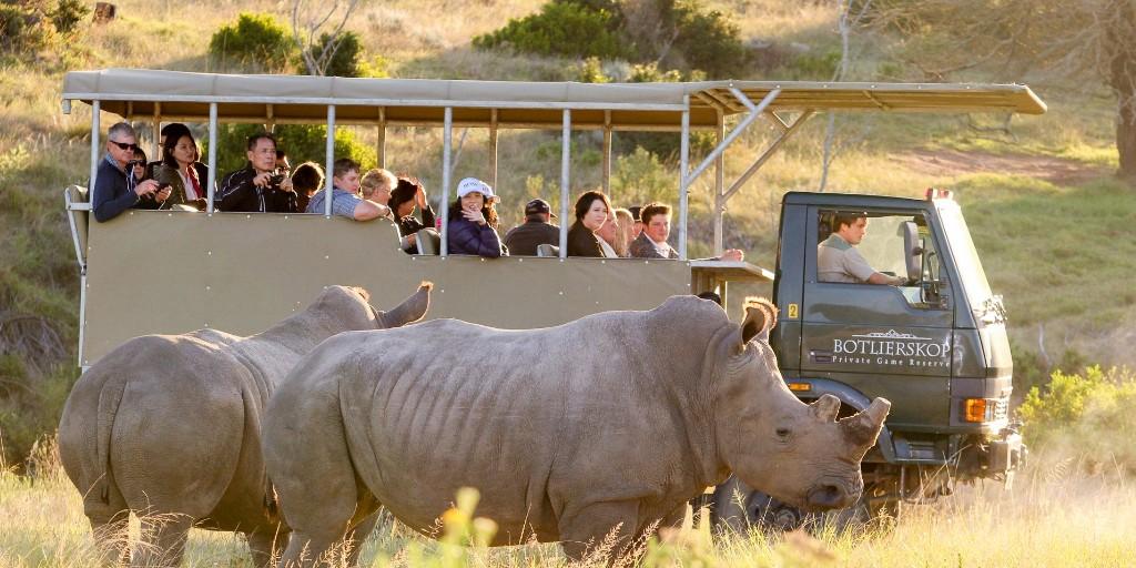 Thrilling close encounters with the Big 5 will create lifelong memories at Botlierskop