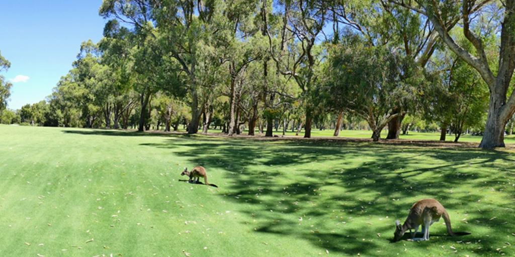 Mandurah Country Club