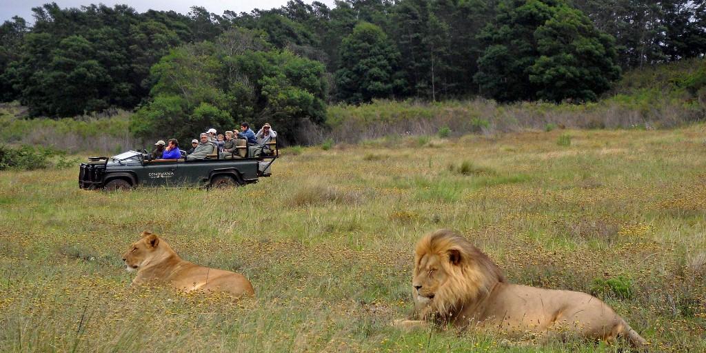 Gondwana Game Reserve